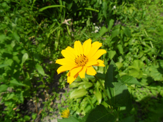 647626 (a): :2592x1944